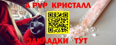 спиды Будённовск